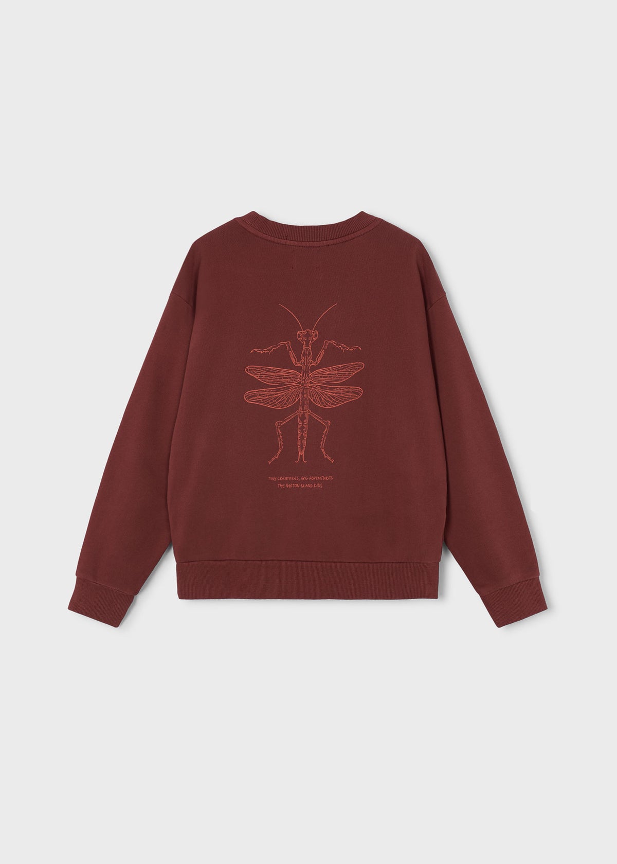 Sudadera print Boston Kids