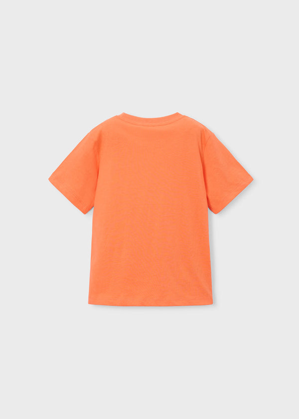 Camiseta estampado mono surf niño